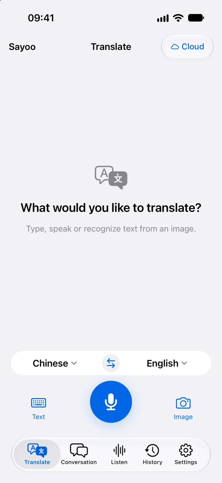 Text and voice translation